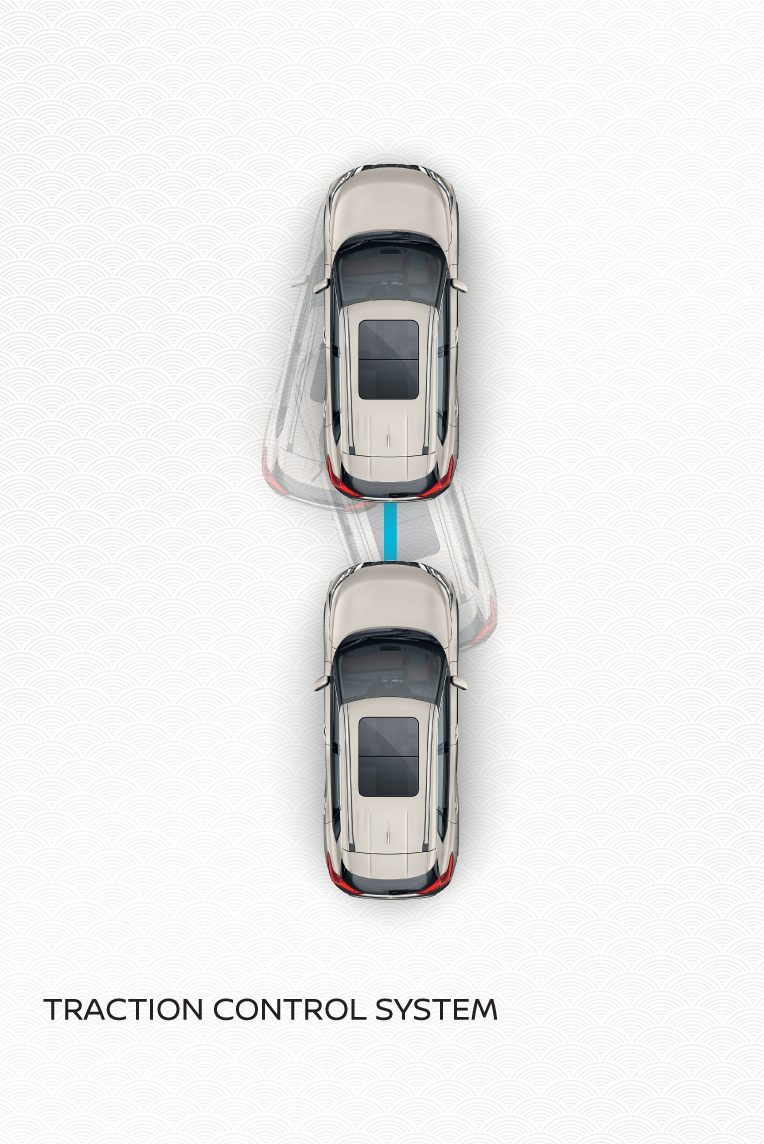 Driver Assist Display
